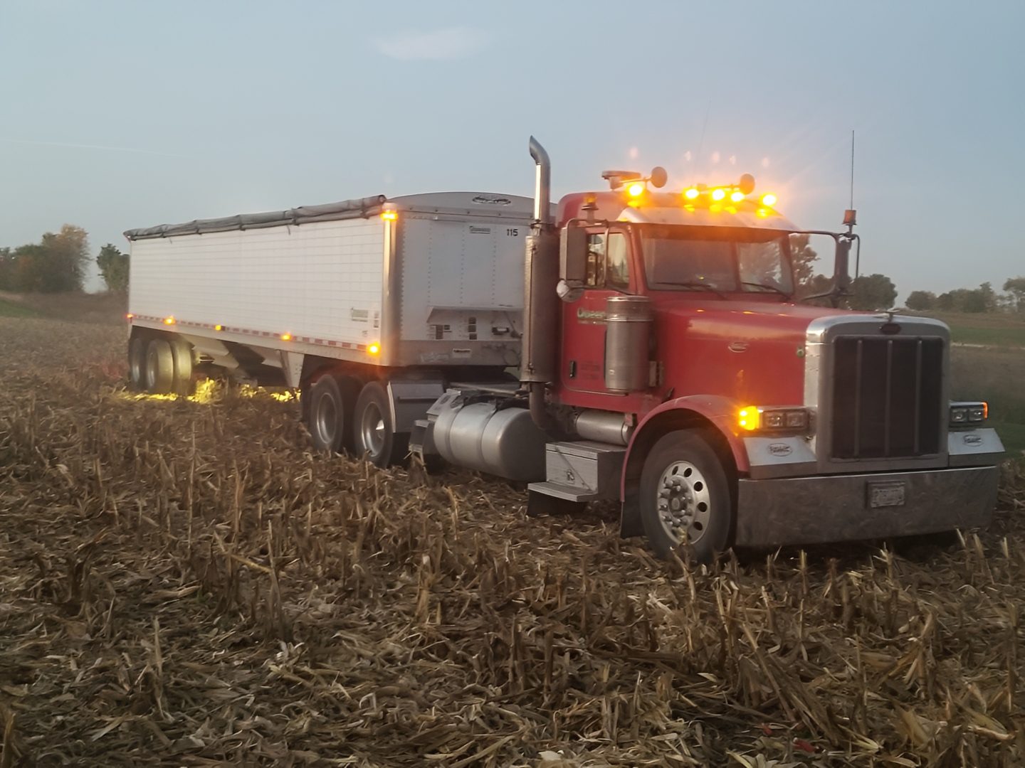 Truck with headlights in cornfield